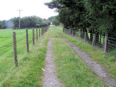 
Trostre Pit tramway, Blaina, August 2010